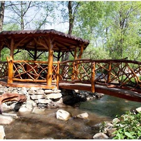 Pensiunea Pentru Tine Prietene Arcani Esterno foto