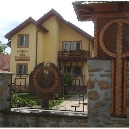 Pensiunea Pentru Tine Prietene Arcani Camera foto