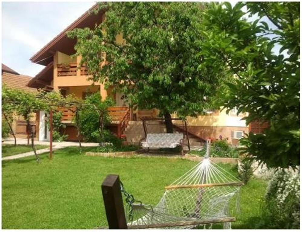 Pensiunea Pentru Tine Prietene Arcani Camera foto