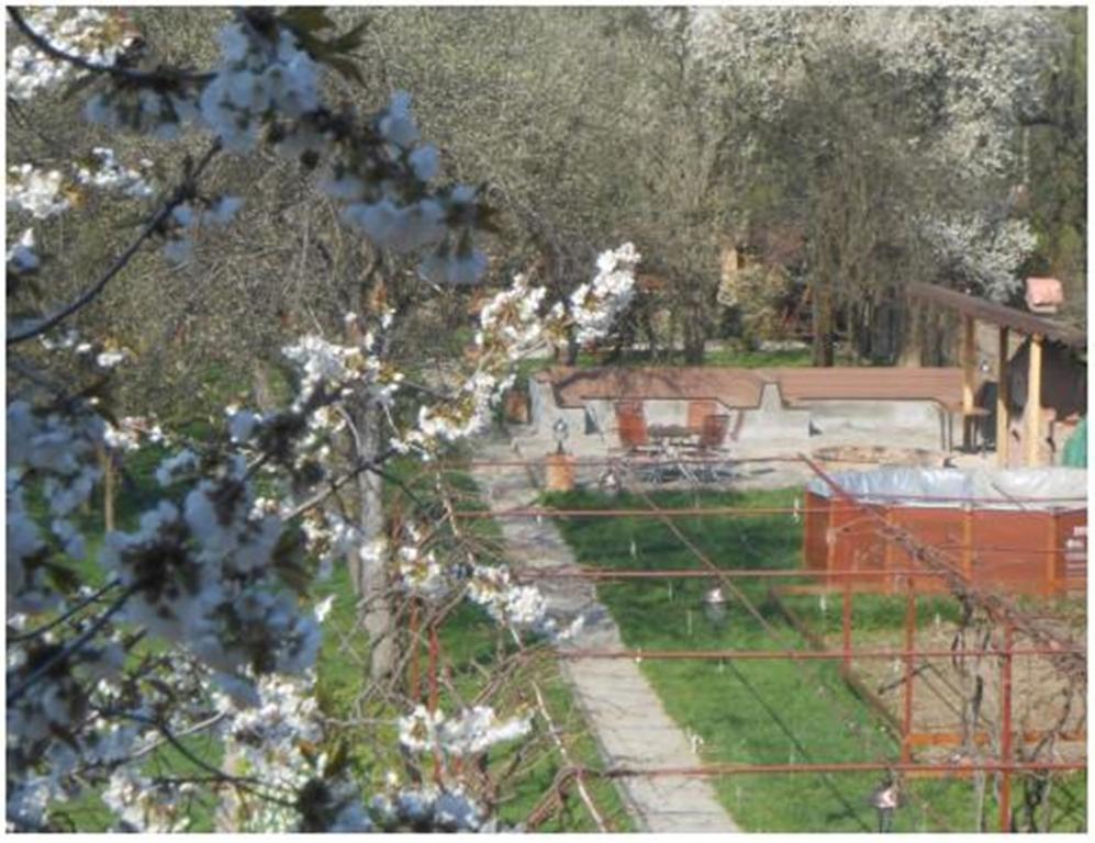 Pensiunea Pentru Tine Prietene Arcani Camera foto